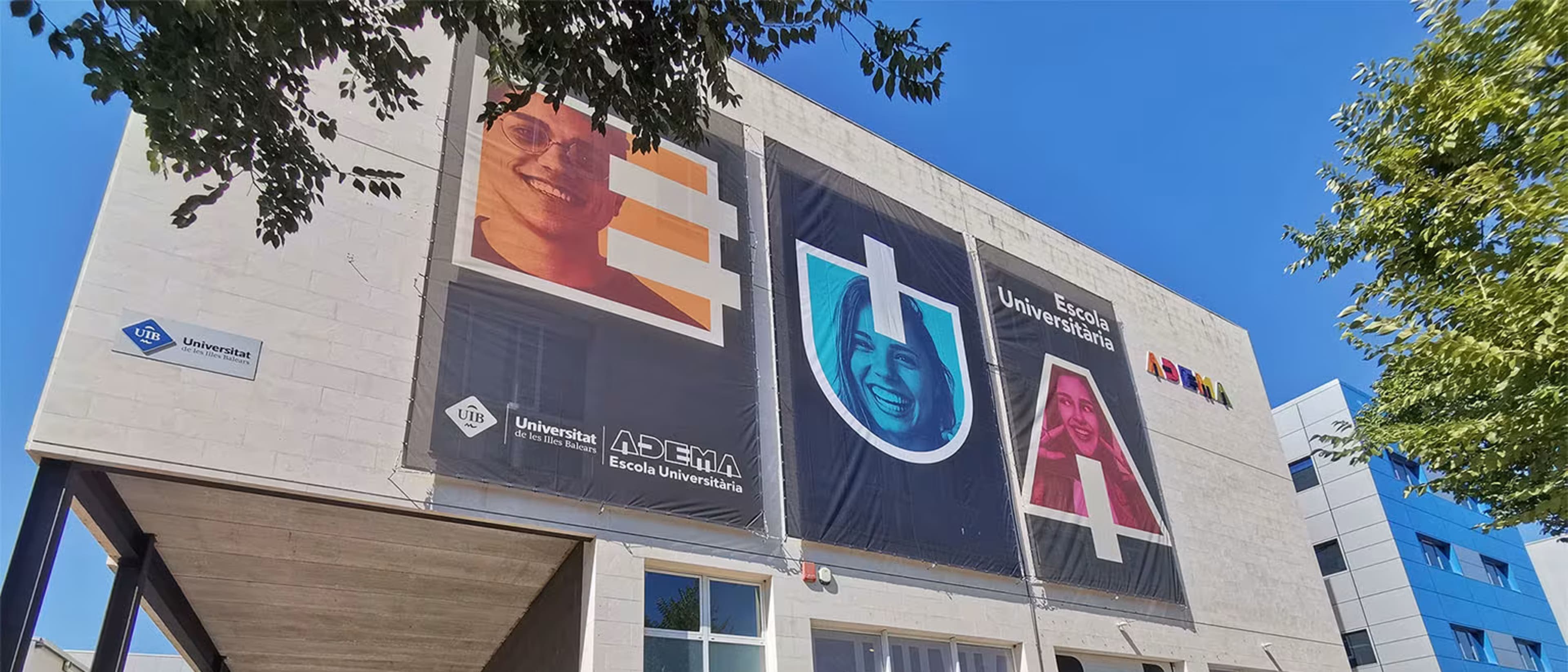 Image for Bachelor's Degree in Fine Arts
